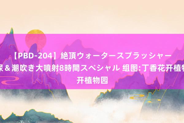 【PBD-204】絶頂ウォータースプラッシャー 放尿＆潮吹き大噴射8時間スペシャル 组图:丁香花开植物园