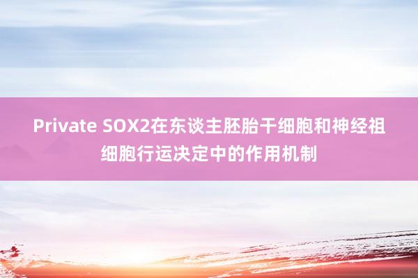 Private SOX2在东谈主胚胎干细胞和神经祖细胞行运决定中的作用机制