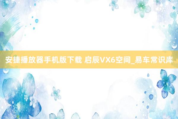 安捷播放器手机版下载 启辰VX6空间_易车常识库