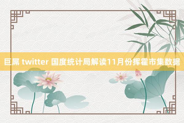 巨屌 twitter 国度统计局解读11月份挥霍市集数据